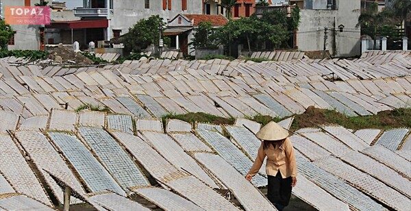Làng nghề bánh đa Lộ Cương là một truyền thống lâu dài tại phường Tứ Minh Hải Dương