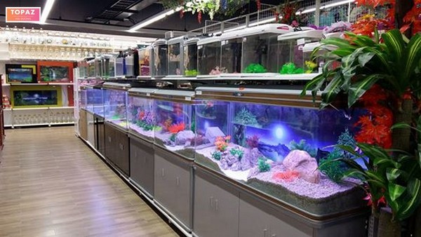 Cửa hàng bể cá Hải Dương Dũng Sơn còn khá nổi tiếng về cung cấp các loại bể cá chất lượng 
