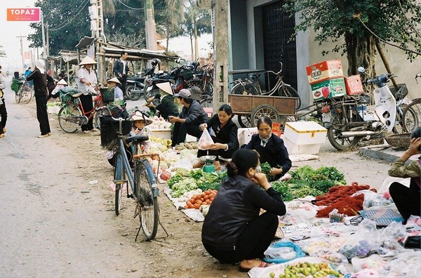 Cẩm Hoàng Cẩm Giàng Hải Dương như một bức tranh quê hương thanh bình, yên ả