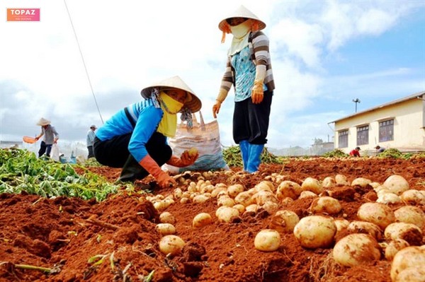 Từ năm 2011 đến nay, xã Minh Hòa đã 2 lần phát động toàn dân hiến đất xây dựng nông thôn mới nâng cao