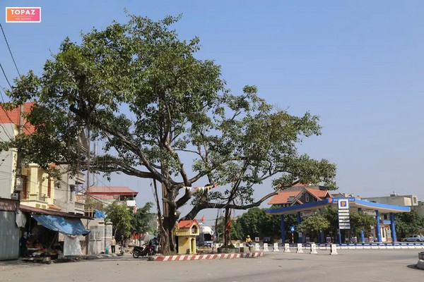 Khám phá chi tiết phường Minh Tân Kinh Môn Hải Dương