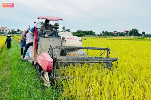 Đặc điểm địa hình xã Hưng Long Ninh Giang Hải Dương 