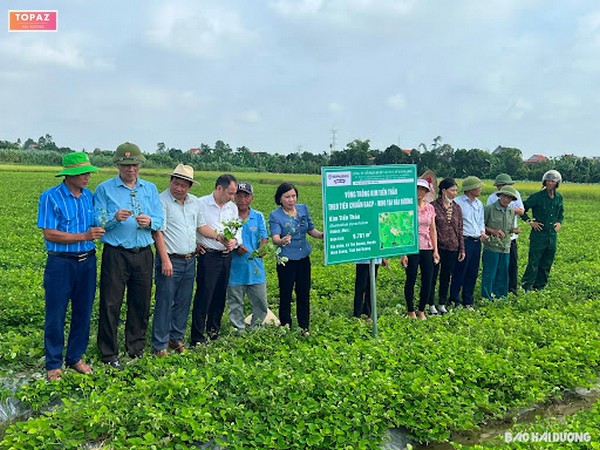 Lịch sử hình thành xã Tân Quang Ninh Giang Hải Dương