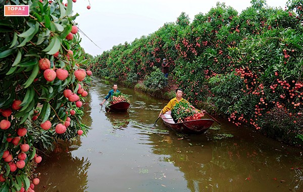 Lịch sử hình thành huyện Thanh Hà Hải Dương