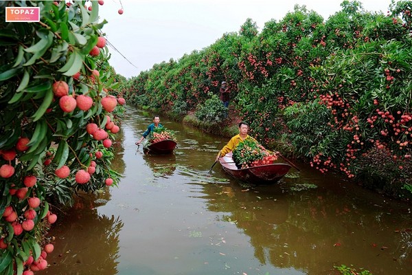 Tình hình kinh tế xã Thanh Lang Thanh Hà Hải Dương