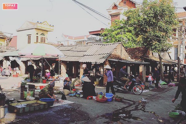 : Thanh Giang là một xã nông nghiệp truyền thống, với hoạt động trồng lúa là chủ yếu.