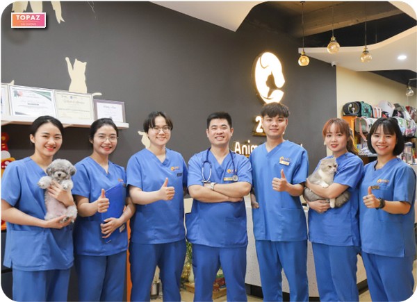 2Vet - Hải Dương không chỉ cung cấp các dịch vụ cơ bản như khám, điều trị, tiêm phòng thú cưng